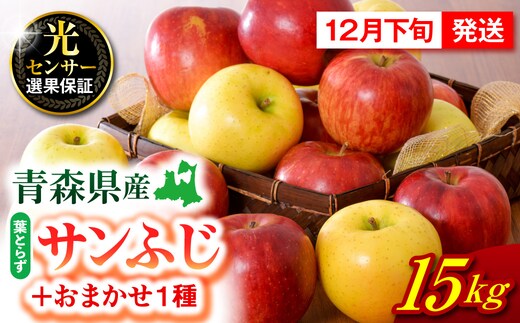 【2026年12月下旬発送】 りんご 15kg 詰め合わせ 計2種(葉とらず サンふじ と 他1種)