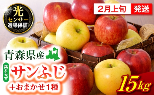 【2027年2月上旬発送】 りんご 15kg 詰め合わせ 計2種(葉とらず サンふじ と 他1種)