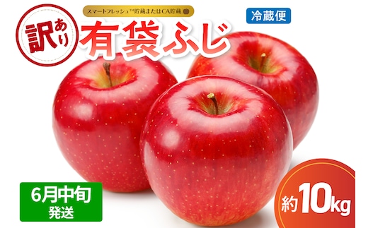 【2026年6月中旬発送】【訳あり】りんご10kg有袋ふじ【スマートフレッシュTM貯蔵またはCA貯蔵・クール便】