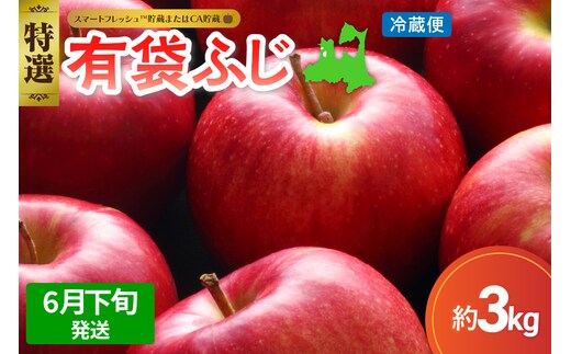 【2026年6月下旬発送】≪特選≫ りんご 有袋ふじ 3kg (スマートフレッシュ™貯蔵またはCA貯蔵・クール便)