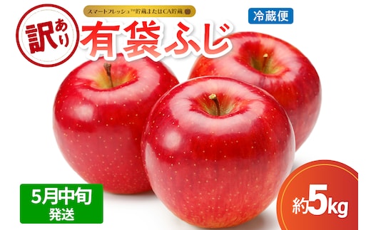 【2026年5月中旬発送】【訳あり】りんご有袋ふじ5kg(スマートフレッシュTM貯蔵又はCA貯蔵・クール便)