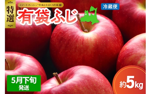 【2026年5月下旬発送】≪特選≫ りんご 5kg 有袋ふじ (スマートフレッシュ™貯蔵またはCA貯蔵・クール便)