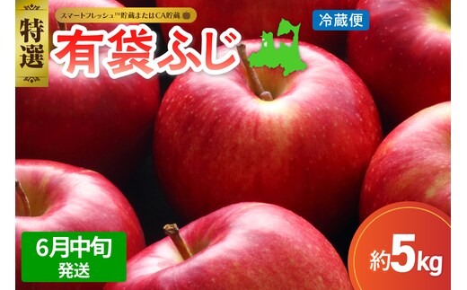 【2026年6月中旬発送】≪特選≫ りんご 5kg 有袋ふじ (スマートフレッシュ™貯蔵またはCA貯蔵・クール便)