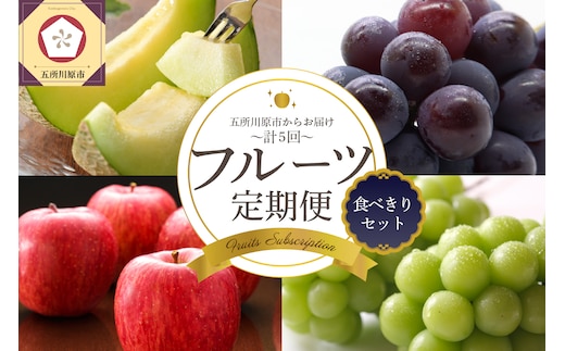 【2026年7月発送開始】フルーツ 定期便 5回 食べきり セット 訳あり品含む