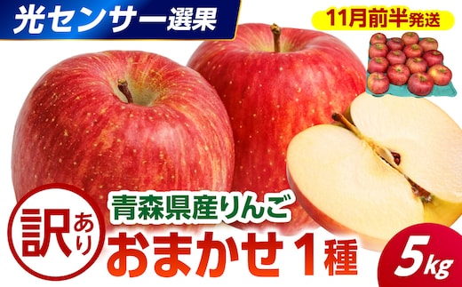 【2026年11月前半発送】 【訳あり】 りんご 青森産 約5kg 品種おまかせ1種