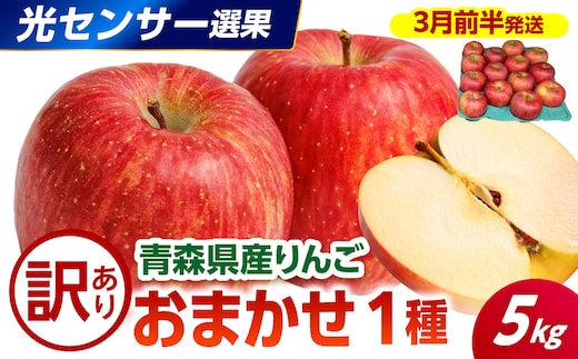 【2027年3月前半発送】 【訳あり】 りんご 青森産 約5kg 品種おまかせ1種