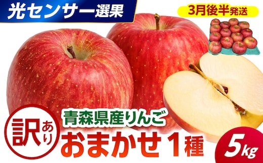 【2027年3月後半発送】 【訳あり】 りんご 青森産 約5kg 品種おまかせ1種