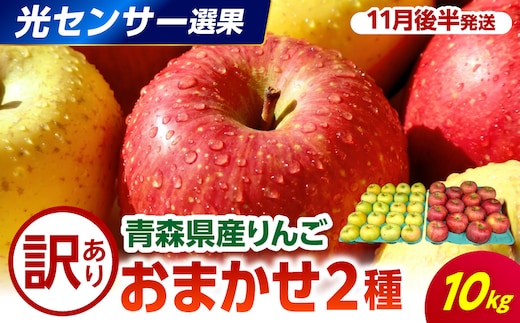 【2026年11月後半発送】 【訳あり】 りんご 10kg 程度 青森 品種おまかせ2種以上