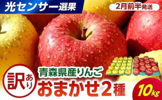 【2027年2月前半発送】 【訳あり】 りんご 10kg 程度 青森 品種おまかせ2種以上