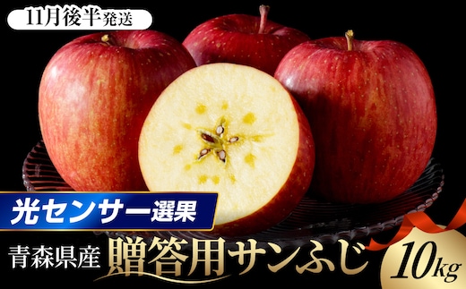 【2026年11月後半発送】 りんご 約10kg サンふじ 青森産 糖度 13度以上 贈答用 特選～特秀