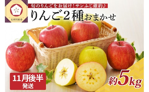 【2026年11月後半発送】 りんご 青森産 約5kg サンふじ 確約 品種おまかせ2種以上 贈答用 特選～特秀