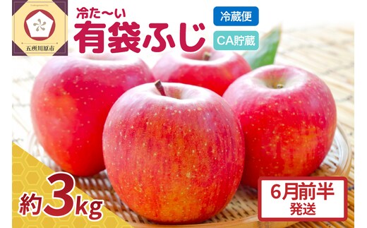 【6月前半発送】りんご ふじ 贈答用 約 3kg 【 配送時期が選べる 】 冷た～い 有袋ふじ 【 有袋栽培 CA貯蔵 クール便 果物類 林檎 リンゴ ふじりんご フルーツ 青森 五所川原 】