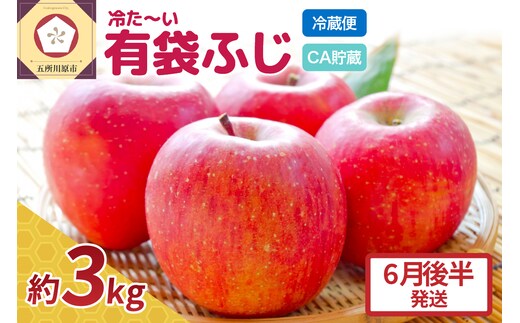 【6月後半発送】りんご ふじ 贈答用 約 3kg 【 配送時期が選べる 】 冷た～い 有袋ふじ 【 有袋栽培 CA貯蔵 クール便 果物類 林檎 リンゴ ふじりんご フルーツ 青森 五所川原 】