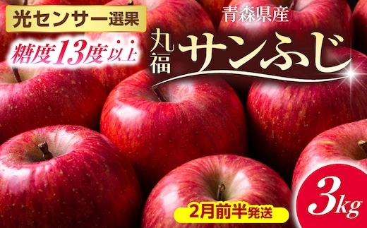 【2027年2月前半発送】 りんご 青森産 約3kg 丸福 サンふじ 光センサー 選果 糖度 13度以上