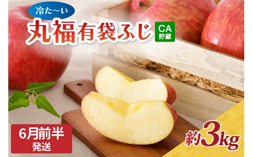 【2026年6月前半発送】 りんご 有袋ふじりんご 約 3kg CA貯蔵 丸福規格 有袋フジりんご 青森 五所川原