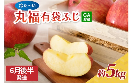 【2026年6月後半発送】 りんご 有袋ふじりんご 約 5kg CA貯蔵 丸福規格 有袋フジりんご 青森 五所川原