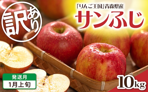 【2027年1月上旬発送】 【訳あり】 りんご 約10kg サンふじ 青森産