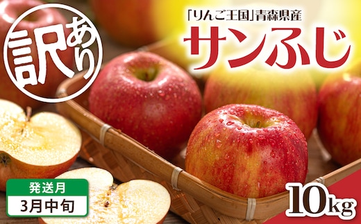 【2027年3月中旬発送】 【訳あり】 りんご 約10kg サンふじ 青森産