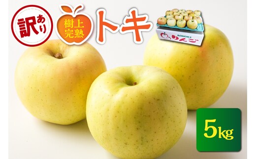 【2026年10月発送】【訳あり】 りんご 約5kg トキ〈樹上完熟〉 青森産