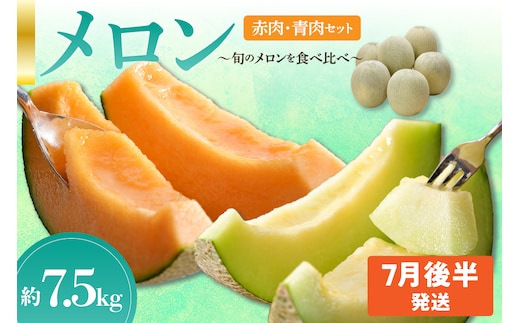 【2026年7月後半発送】 【秀～優品】津軽平野のメロン 約7.5kg程度(赤肉・青肉セット) (4～8玉) 【青森メロン】
