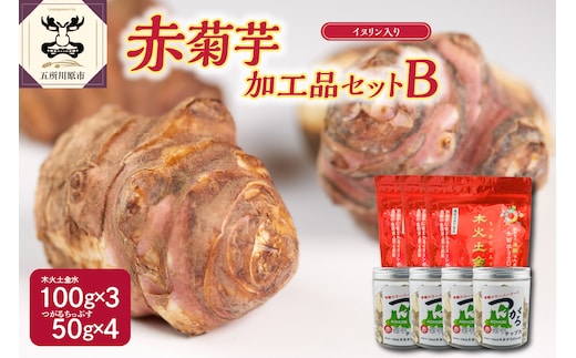 菊芋 加工品詰め合わせ_菊芋パウダー300g/菊芋チップス200g【赤菊芋きくいもキクイモ詰合せ 粉末100g×3 ちっぷす50g×4 ノンフライ 菊芋茶 にも 加工品セットB 】