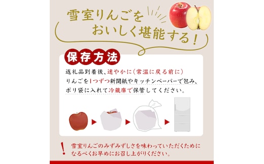 雪室りんご サンふじ 2kg 程度（5～6個程度）【2026年3月上旬～下旬