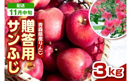 【2026年11月中旬発送 】 りんご 青森 サンふじ 3kg 程度 《 贈答用 》 農家直送 サンフジ 青森県 五所川原市 贈答 プレゼント 贈り物 林檎 リンゴ apple