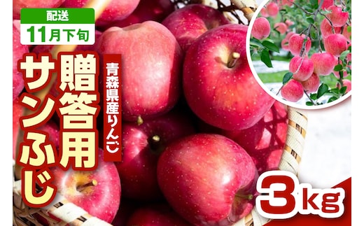 【2026年11月下旬発送 】 りんご 青森 サンふじ 3kg 程度 《 贈答用 》 農家直送 サンフジ 青森県 五所川原市 贈答 プレゼント 贈り物 林檎 リンゴ apple