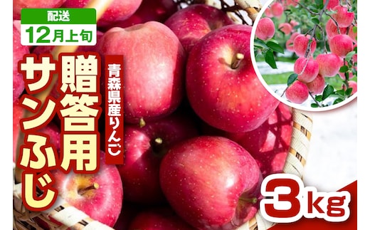 【2026年12月上旬発送 】 りんご 青森 サンふじ 3kg 程度 《 贈答用 》 農家直送 サンフジ 青森県 五所川原市 贈答 プレゼント 贈り物 林檎 リンゴ apple