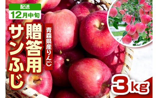 【2026年12月中旬発送 】 りんご 青森 サンふじ 3kg 程度 《 贈答用 》 農家直送 サンフジ 青森県 五所川原市 贈答 プレゼント 贈り物 林檎 リンゴ apple