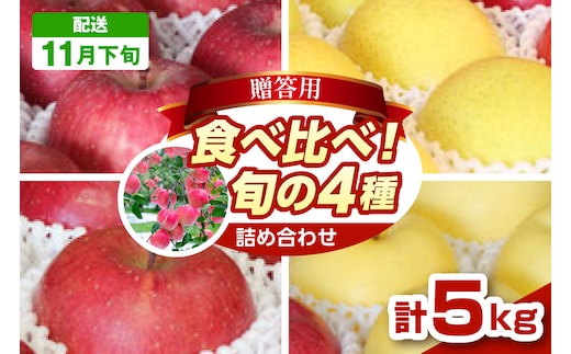 【2026年11月下旬発送】りんご 青森 食べ比べ 4品種<ふじ サンふじ 王林 金星> 5kg 程度 贈答用 青森 農家直送 サンフジ 青森県 五所川原市 贈答 セット 詰め合わせ 林檎 リンゴ apple
