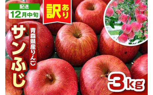 【2026年12月中旬発送】りんご 青森 サンふじ 3kg 程度 《 訳あり 》 農家直送 サンフジ 青森県五所川原市 傷 キズ ワケアリ 林檎 リンゴ apple