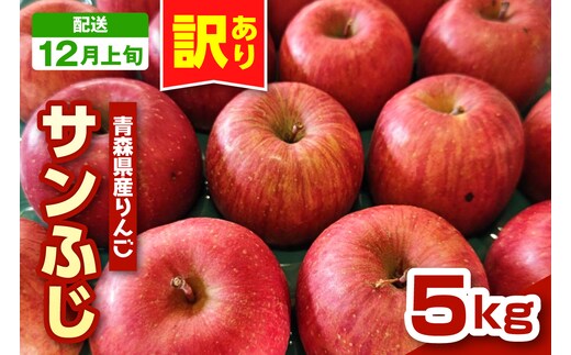 【2026年12月上旬発送】りんご 青森 サンふじ 5kg 程度 《 訳あり 》 農家直送 サンフジ 青森県五所川原市 傷 キズ ワケアリ 林檎 リンゴ apple