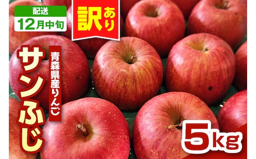 【2026年12月中旬発送】りんご 青森 サンふじ 5kg 程度 《 訳あり 》 農家直送 サンフジ 青森県五所川原市 傷 キズ ワケアリ 林檎 リンゴ apple