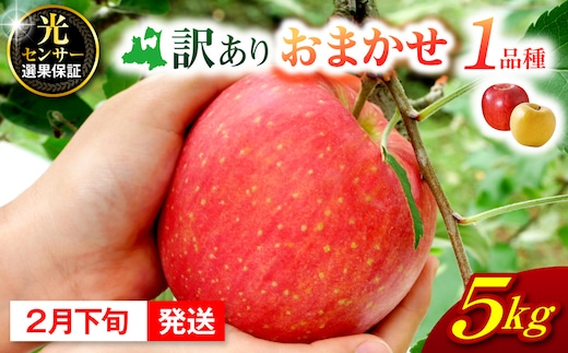 【2027年2月下旬発送】 【訳あり】 旬の美味しい りんご 約5kg 青森 産 【おまかせ1品種】