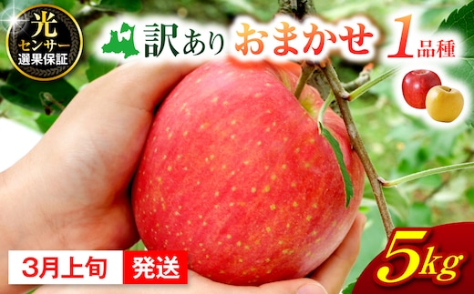 【2027年3月上旬発送】 【訳あり】 旬の美味しい りんご 約5kg 青森 産 【おまかせ1品種】