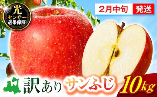 【2027年2月中旬発送】 【訳あり】 りんご 10kg サンふじ 青森 不揃い