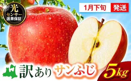 【2027年1月下旬発送】【訳あり】 りんご 5kg サンふじ 青森
