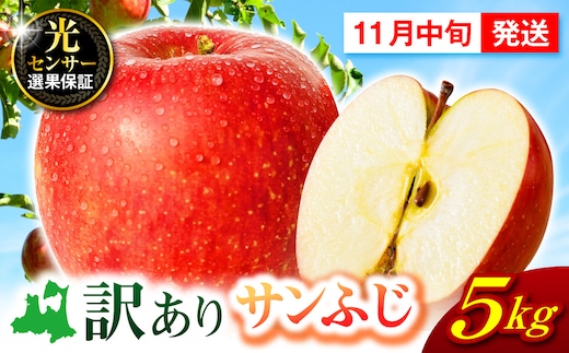 【2026年11月中旬発送】【訳あり】 りんご 5kg サンふじ 青森