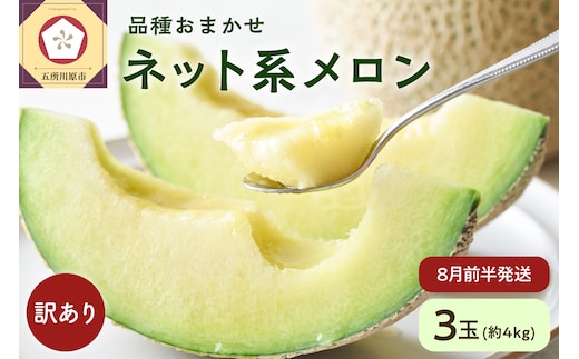 【2026年8月前半発送】【訳あり】ネット系メロン中玉3玉（約4kg）品種おまかせ