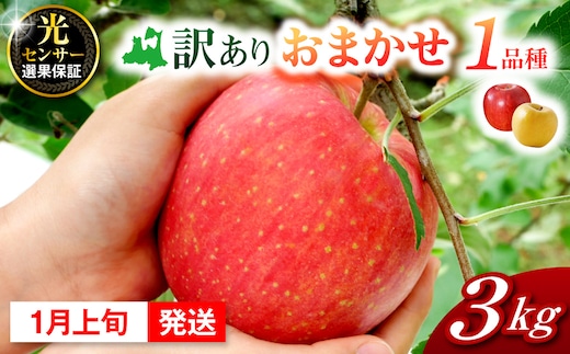 【2027年1月上旬発送】訳ありりんご約3kg おまかせ品種 青森県五所川原市