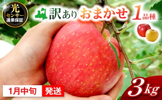 【2027年1月中旬発送】訳ありりんご約3kg おまかせ品種 青森県五所川原市