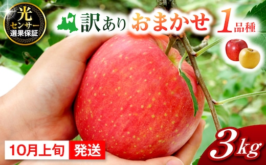 【2026年10月上旬発送】訳ありりんご約3kg おまかせ品種 青森県五所川原市