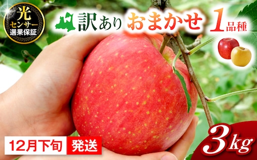 【2026年12月下旬発送】訳ありりんご約3kg おまかせ品種 青森県五所川原市