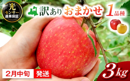【2027年2月中旬発送】訳ありりんご約3kg おまかせ品種 青森県五所川原市