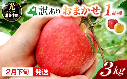 【2027年2月下旬発送】訳ありりんご約3kg おまかせ品種 青森県五所川原市
