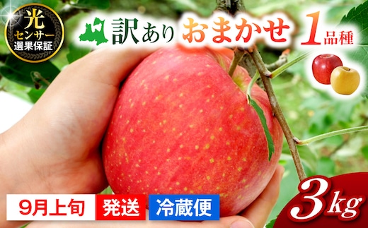 【2026年9月上旬発送】訳ありりんご約3kg おまかせ品種 青森県五所川原市