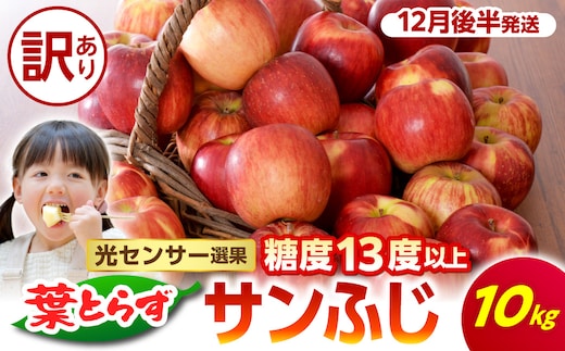【2026年12月後半発送】【訳あり】 葉とらずりんごサンふじ 10kg 程度 青森 五所川原