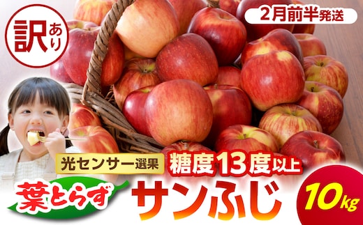 【2027年2月前半発送】【訳あり】 葉とらずりんごサンふじ 10kg 程度 青森 五所川原