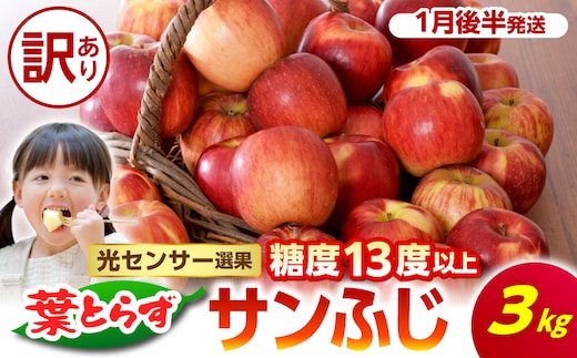 【2027年1月後半発送】【訳あり】青森県産葉とらずサンふじりんご約3kg 